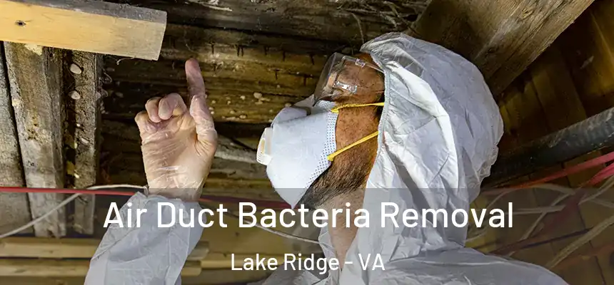  Air Duct Bacteria Removal Lake Ridge - VA