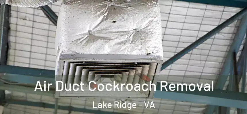 Air Duct Cockroach Removal Lake Ridge - VA