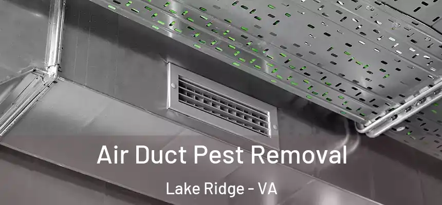  Air Duct Pest Removal Lake Ridge - VA