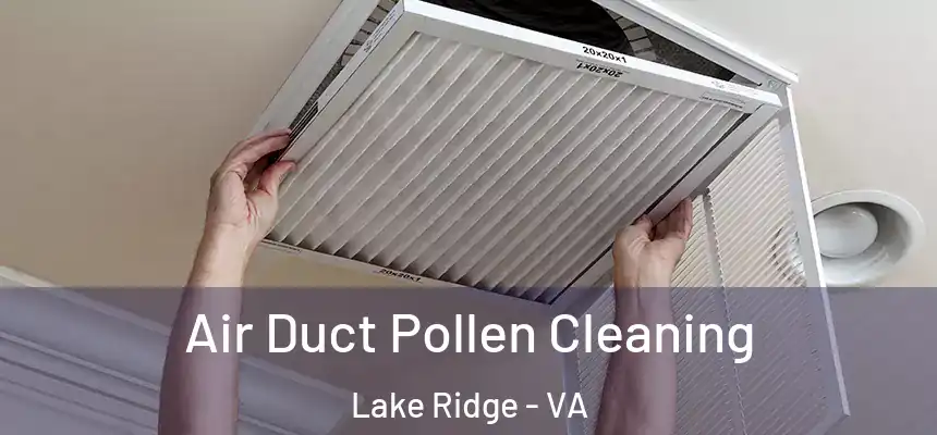 Air Duct Pollen Cleaning Lake Ridge - VA