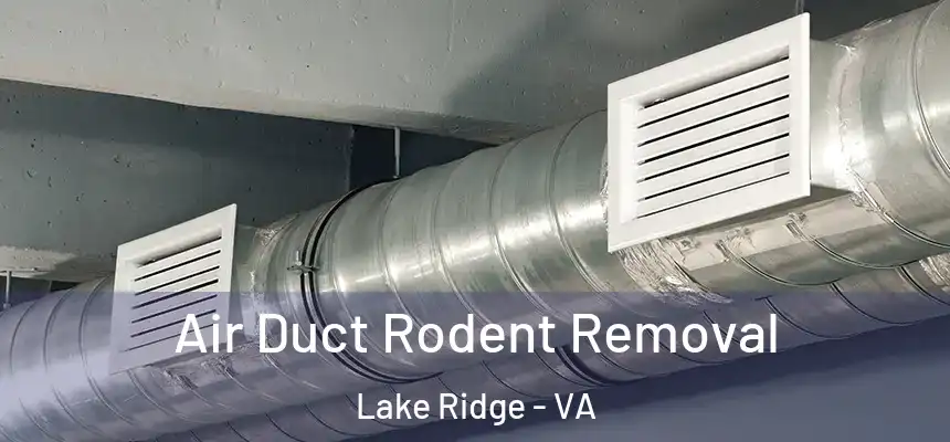 Air Duct Rodent Removal Lake Ridge - VA