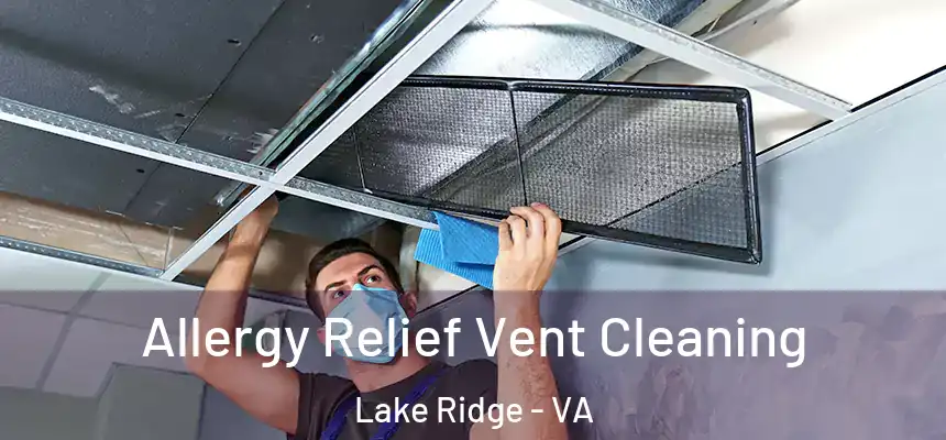 Allergy Relief Vent Cleaning Lake Ridge - VA