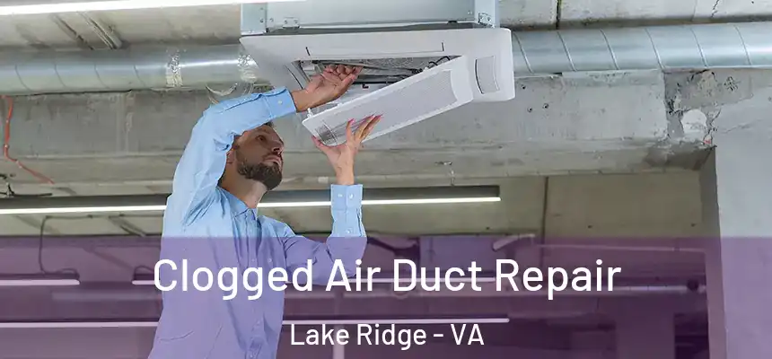 Clogged Air Duct Repair Lake Ridge - VA