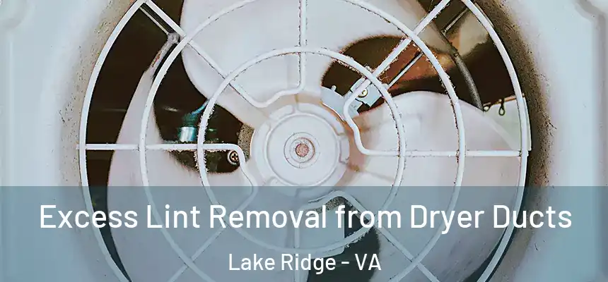 Excess Lint Removal from Dryer Ducts Lake Ridge - VA