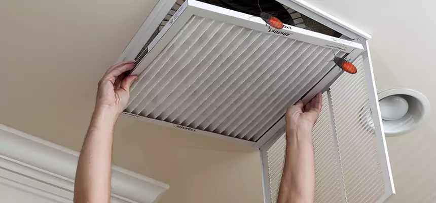 Preventive Cockroach-Proofing for Ducts in Lake Ridge