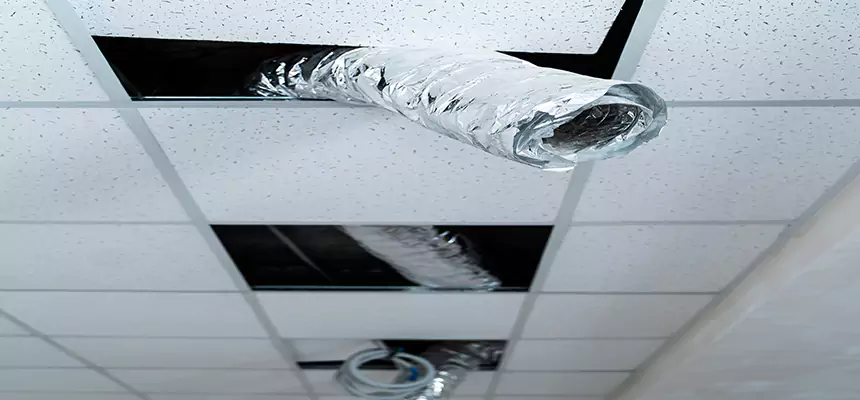 Affordable HVAC Sanitizing After Pest Removal in Lake Ridge