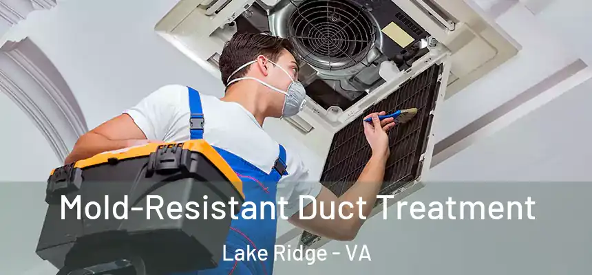 Mold-Resistant Duct Treatment Lake Ridge - VA