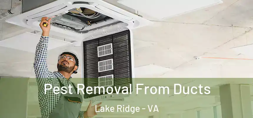 Pest Removal From Ducts Lake Ridge - VA