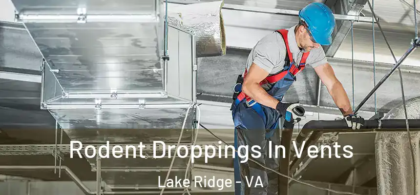 Rodent Droppings In Vents Lake Ridge - VA