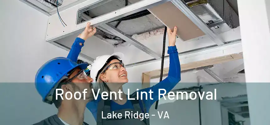 Roof Vent Lint Removal Lake Ridge - VA