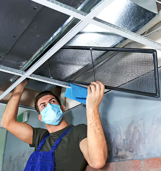 About Air Duct Bacteria Removal in Lake Ridge