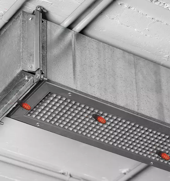 About Air Duct Cockroach Removal in Lake Ridge, VA