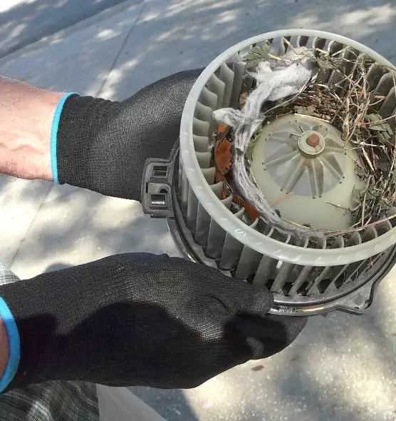 About Air Duct Mice Removal in Lake Ridge, VA