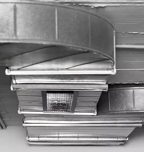 Professional Air Duct Pet Hair Removal in Lake Ridge, VA