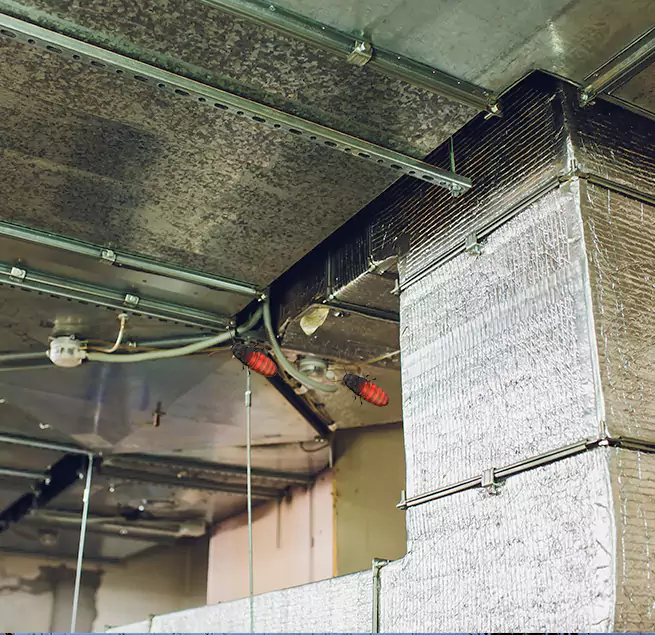 Why Homeowners & Businesses Trust Us in Lake Ridge, VA?