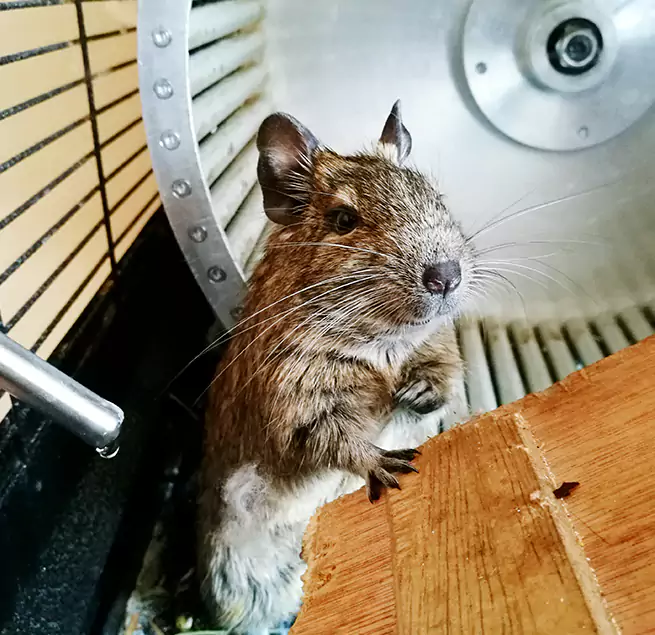 Why Homeowners & Businesses Trust Us Lake Ridge, VA