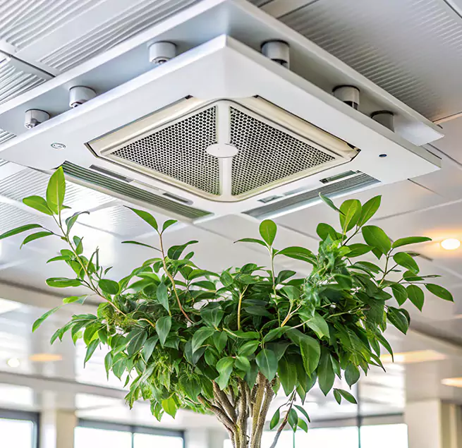 Why Homeowners & Businesses Trust Us in Lake Ridge, VA?