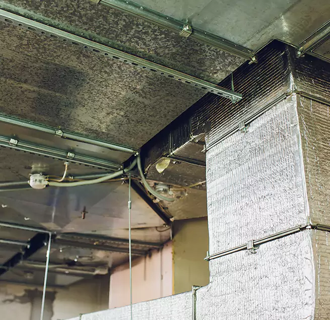 Why Homeowners & Businesses Trust Us in Lake Ridge, VA?